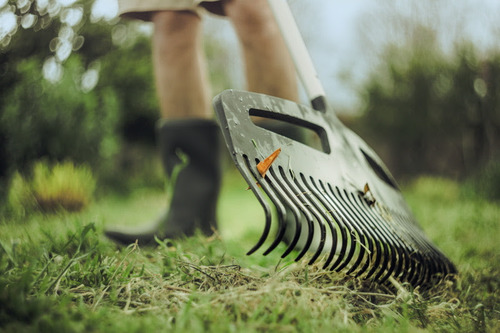 Pielęgnacja przydomowych trawników - 5 kluczowych narzędzi do jego pielęgnacji